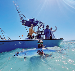 Sarasota's Coastal Bounty: Tarpon